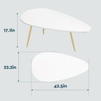 SAYGOER Modern Coffee Table White Oval Coffee Tables for Living Room Simple Center Table for Small Space Home Office Easy Assembly 22.2" D x 42.5" W x 17.1" H, White
