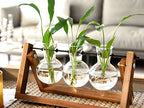 Plant Terrarium with Wooden Stand, Air Planter Bulb Glass Vase Metal Swivel Holder Retro Tabletop for Hydroponics Home Garden Office Decoration - 3 Bulb Vase