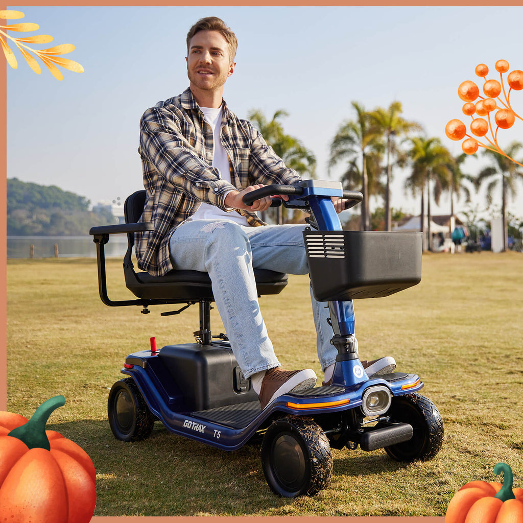 Hoverfly T5 FDA-cleared Electric 4-Wheel Premium Mobility Scooter ((👻Halloween Sale))